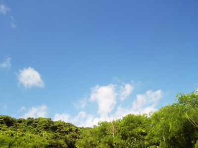 本部の空