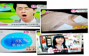 ノンストップにて紹介